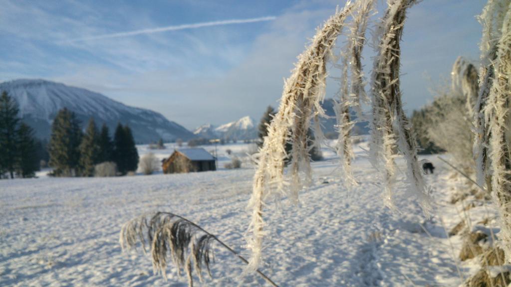 Appartamento Dreimaederlhaus Am Berg Pfronten Esterno foto