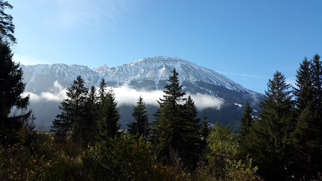 Appartamento Dreimaederlhaus Am Berg Pfronten Esterno foto