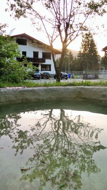 Appartamento Dreimaederlhaus Am Berg Pfronten Camera foto
